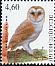 Western Barn Owl Tyto alba  2010 Birds 