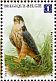 Eurasian Hobby Falco subbuteo  2010 Buzins birds Sheet