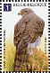 Eurasian Goshawk Accipiter gentilis