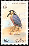 Boat-billed Heron Cochlearius cochlearius
