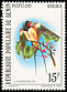 Barn Swallow Hirundo rustica  1982 Birds 