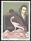 Eurasian Oystercatcher Haematopus ostralegus  1985 Audubon 