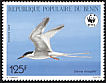 Roseate Tern Sterna dougallii  1989 WWF 