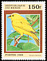 Saffron Finch Sicalis flaveola