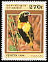 Yellow-crowned Bishop Euplectes afer