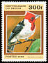 Red-crested Cardinal Paroaria coronata