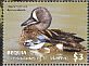 Blue-winged Teal Spatula discors  2018 Ducks of the Caribbean Sheet