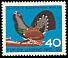 Western Capercaillie Tetrao urogallus  1965 Child welfare 