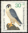 Peregrine Falcon Falco peregrinus  1973 Youth welfare 