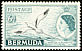 White-tailed Tropicbird Phaethon lepturus  1953 Definitives 