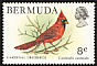 Northern Cardinal Cardinalis cardinalis  1978 Wildlife 