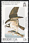 Western Osprey Pandion haliaetus  1985 Audubon 