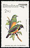 Orange-bellied Leafbird Chloropsis hardwickii  1982 Birds 