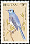 Black-naped Monarch Hypothymis azurea