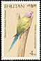 Plum-headed Parakeet Psittacula cyanocephala