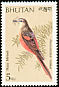 Rosy Minivet Pericrocotus roseus