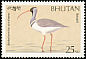 Ibisbill Ibidorhyncha struthersii