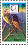 Long-tailed Minivet Pericrocotus ethologus