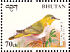 Chestnut-flanked White-eye Zosterops erythropleurus  1998 Birds Sheet