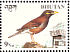 Common Myna Acridotheres tristis  1998 Birds Sheet