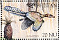 Archaeopteryx Archaeopteryx lithografica