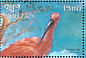 Scarlet Ibis Eudocimus ruber  1999 Birds of the world Sheet