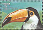 Toco Toucan Ramphastos toco