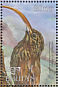 Red-billed Scythebill Campylorhamphus trochilirostris  1999 Birds of the world  MS MS MS