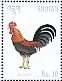 Red Junglefowl Gallus gallus  2015 Lunar year animals 12v sheet