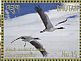 Black-necked Crane Grus nigricollis  2015 Conservation 8v sheet