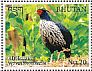 Kalij Pheasant Lophura leucomelanos  2017 Pheasants of Bhutan Sheet