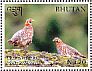 Tibetan Partridge Perdix hodgsoniae  2017 Pheasants of Bhutan Sheet