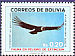 Andean Condor Vultur gryphus