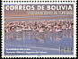 James's Flamingo Phoenicoparrus jamesi  2005 Tourism 