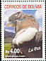 Andean Condor Vultur gryphus