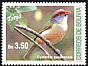 Rufous-browed Peppershrike Cyclarhis gujanensis