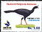 Horned Curassow Pauxi unicornis