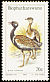 Northern Black Korhaan Afrotis afraoides  1983 Birds of the veld 