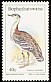 Denham's Bustard Neotis denhami