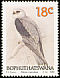 Black-winged Kite Elanus caeruleus