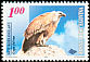 Griffon Vulture Gyps fulvus