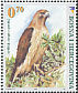 Eurasian Goshawk Accipiter gentilis