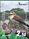 Horned Lark Eremophila alpestris  2019 Europa Booklet with 3 sets