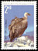 Griffon Vulture Gyps fulvus