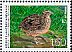 Common Quail Coturnix coturnix