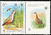 Corn Crake Crex crex  2005 Birds 