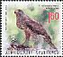 Eurasian Goshawk Accipiter gentilis