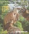 Griffon Vulture Gyps fulvus  2016 Gyps fulvus Sheet