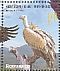 Griffon Vulture Gyps fulvus  2016 Gyps fulvus Sheet