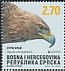 Golden Eagle Aquila chrysaetos